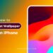 A complete guide to set wallpaper on iPhone or any iOS device