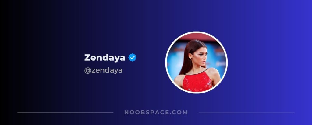 Zendaya's Instagram profile