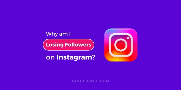 Why am i losing followers on Instagram?