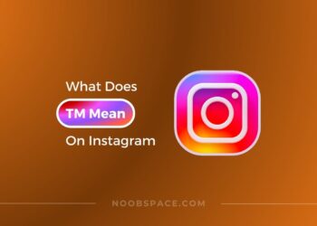 TM meaning in text and on Instagram social media