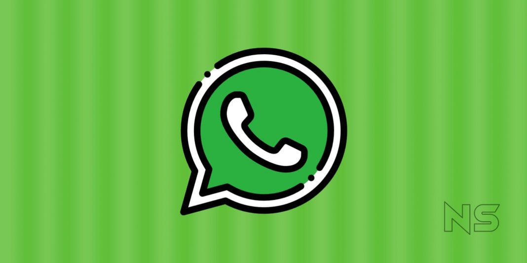 where whatsapp web download files where whatsapp web download files